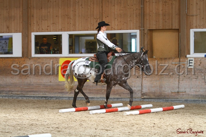 26-ApHC GT_116.jpg
